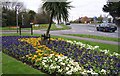 Floral Display-Southampton Hill