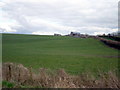 H9834 : Landscape, Glenanne Road by P Flannagan