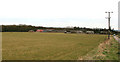 Home Farm Field, Kilnwick Percy