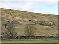 The valley of Rookhope Burn (2)