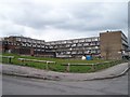 Rear view of Winn Grove, from Winn Gardens