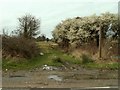 Footpath to Curtismill Green