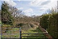 Rough land at the end of Rowden Close, West Wellow