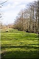 Stream near Headlands Farm, West Wellow