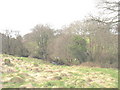 Rough grazing on a river terrace above Afon Carrog