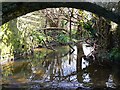 View from a ford, near East Pennard