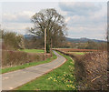 Road to Dymock from Normansland