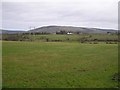 Glebe Townland