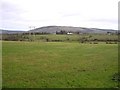 Glebe Townland