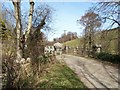 Bridge over Afon Dulas