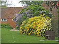 Garden at Forty Hall, Enfield