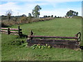 Horse jumps at Sandywell Park