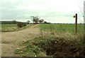 Footpath to Park Wood