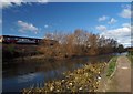 The Dearne and Dove Canal Swinton