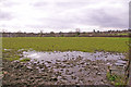 Farmland, Enfield Road, Enfield, looking west