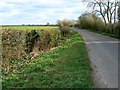 ST5135 : Watchwell Drove, near Butleigh Wootton by Brian Robert Marshall