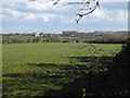 Field near Tregray Farm