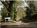 Public bridleway through Pheasanthouse Wood