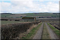 Farm Track and Farmland