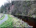 The River Ayr Way west of Catrine