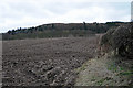 Farmland Looking Towards Newtyle Hill