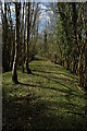 Track bed of former Wye Valley Railway