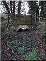 Ewe Leys Lane crossing a mill race