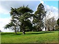 Looking west from Blunsdon Abbey, Blunsdon St Andrew