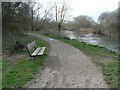 Redhill: riverside bench