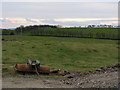 Fields near Groomsport