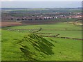 Farmland, Bincombe