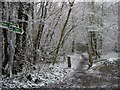 TR1849 : Bridleways in the snow, Covert Wood by Nick Smith