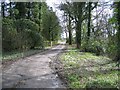 Track past Gwysaney Hall