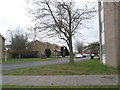 Bus stop in Rowan Road