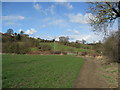 Riverside Footpath View