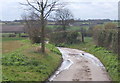 Fossetts Lane, view south of Hill Cottage