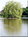 Painswick Park pond