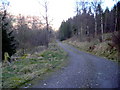 Track Near Invertrossachs