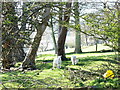 SH4890 : Lambs at Bryn Fuches Farm by Eric Jones
