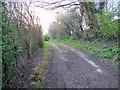 Marsh Lane, Coombe Bissett