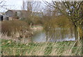 Corner of pond and farm buildings, Sutton