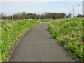 Footpath and cycle track towards Acol