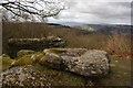 View to the west from above the Buck Stone