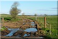 Track to Culscadden Burn