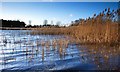 Lake at Messingham Sand Quarry Nature Reserve