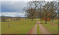 Track through Drummond Park looking east