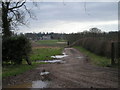 Follow the track to Chillington Farm