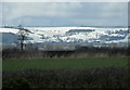 Wilberfoss to Beacon Road