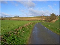 SU2866 : Road and farmland, Little Bedwyn by Andrew Smith