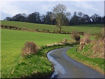 SU2866 : Road and farmland, Little Bedwyn by Andrew Smith